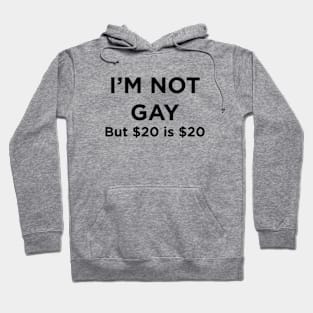 I'M NOT GAY but $20 is $20 T-Shirt Hoodie